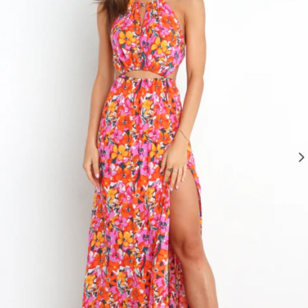 Never Worn! Petal & Pup Senorita Dress - Floral ∙ 6